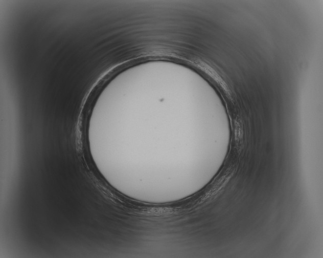 X0000100231068200806201439