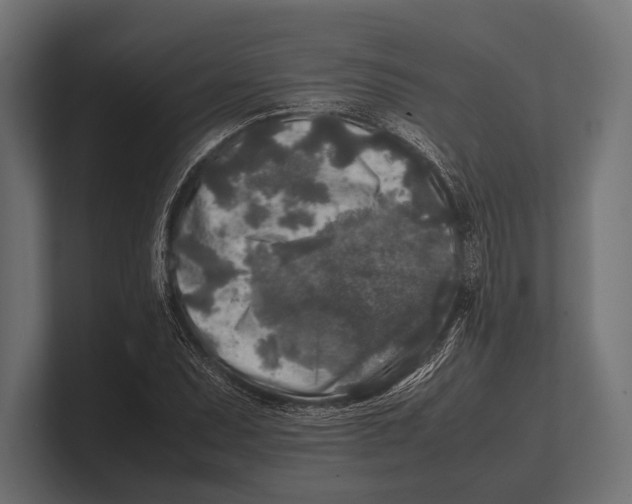 X0000100231071200806201439