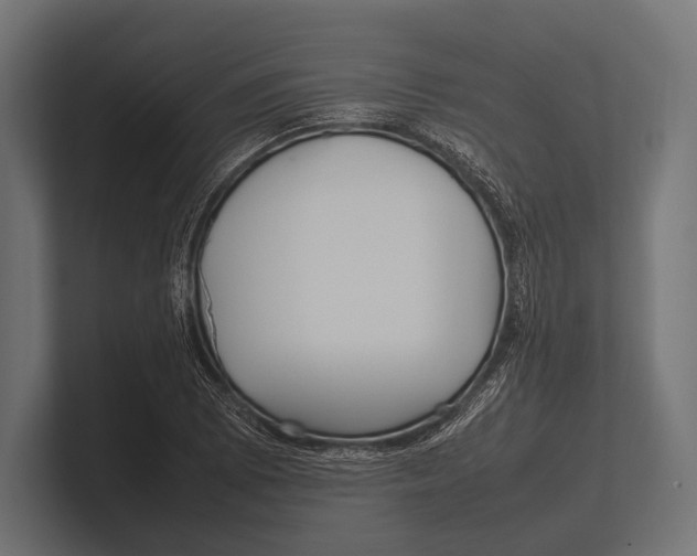 X0000100231073200806201439