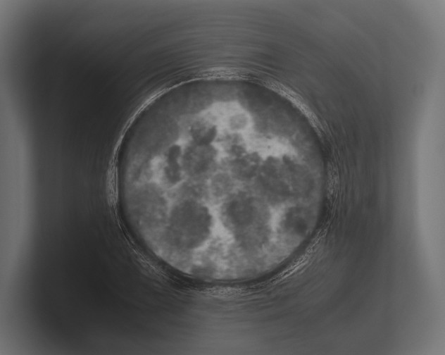 X0000100231075200806201439