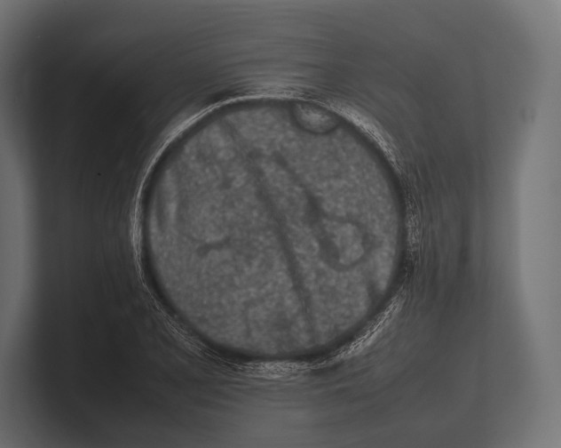 X0000100231077200806201439