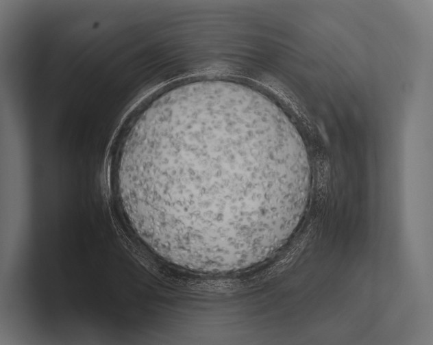 X0000100231078200806201439