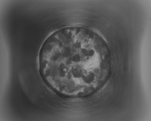 X0000100231079200806201439