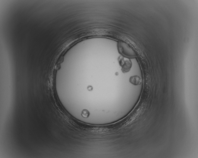 X0000100231081200806201439