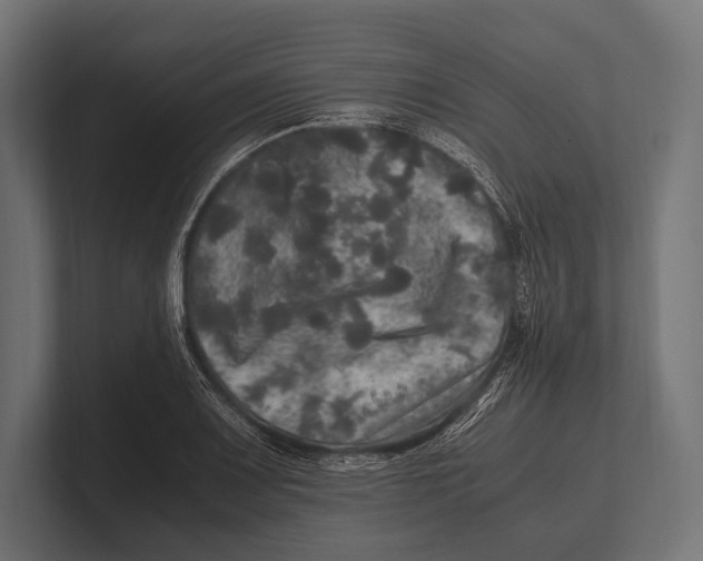 X0000100231083200806201439