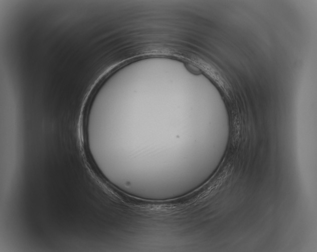 X0000100231084200806201439