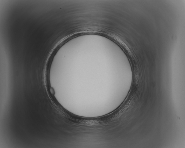 X0000100231085200806201439