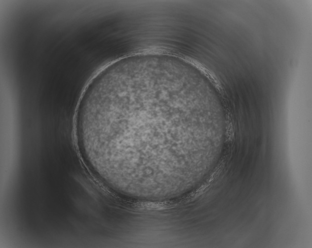 X0000100231086200806201439