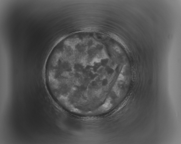 X0000100231087200806201439