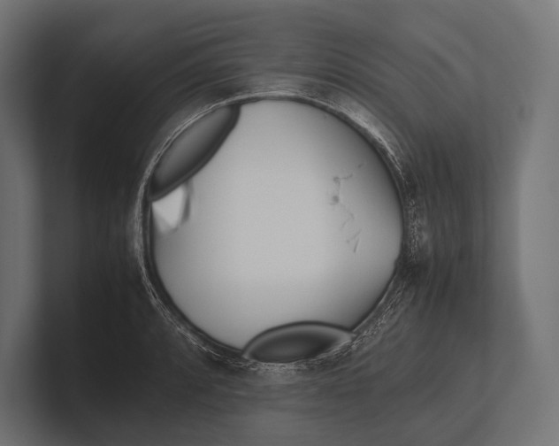 X0000100231088200806201439