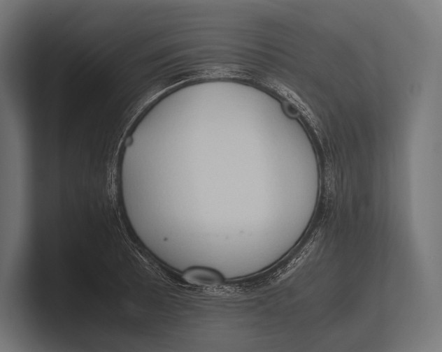 X0000100231089200806201439