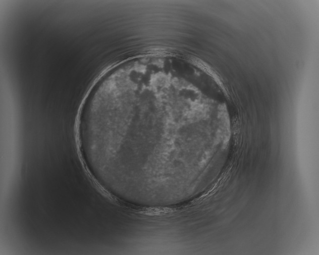 X0000100231091200806201439