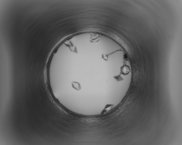 X0000100231092200806201439