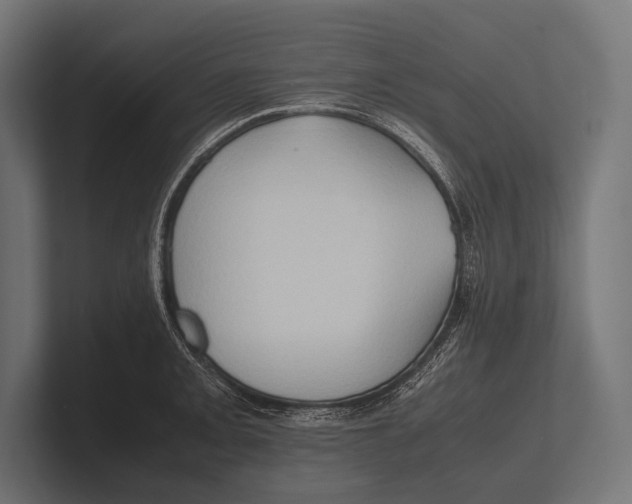 X0000100231093200806201439