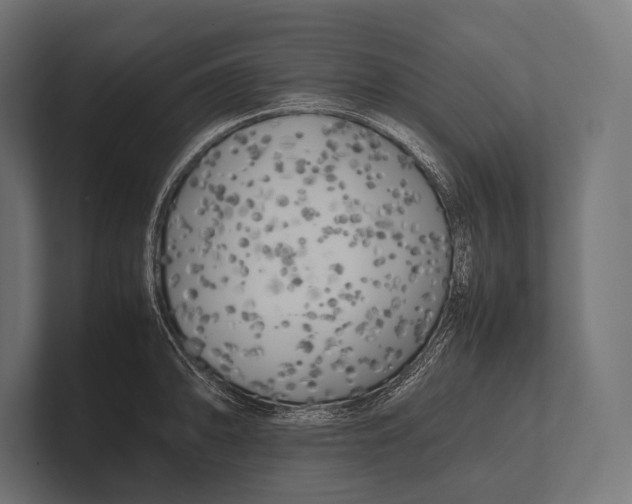 X0000100231094200806201439