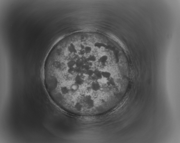 X0000100231095200806201439