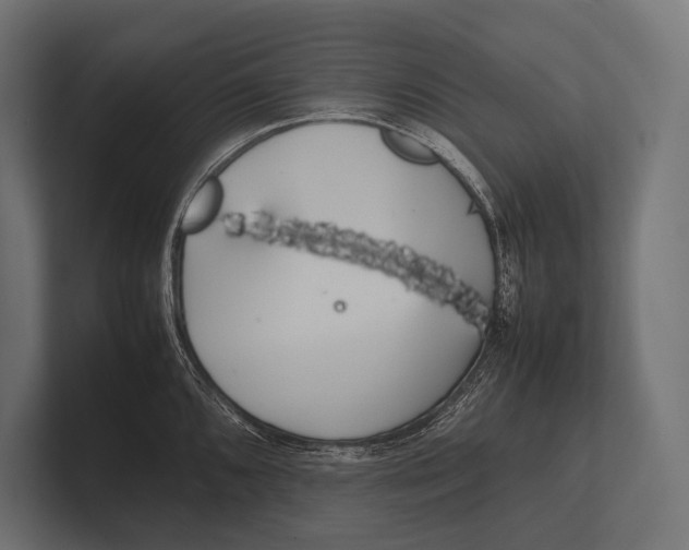 X0000100231096200806201439