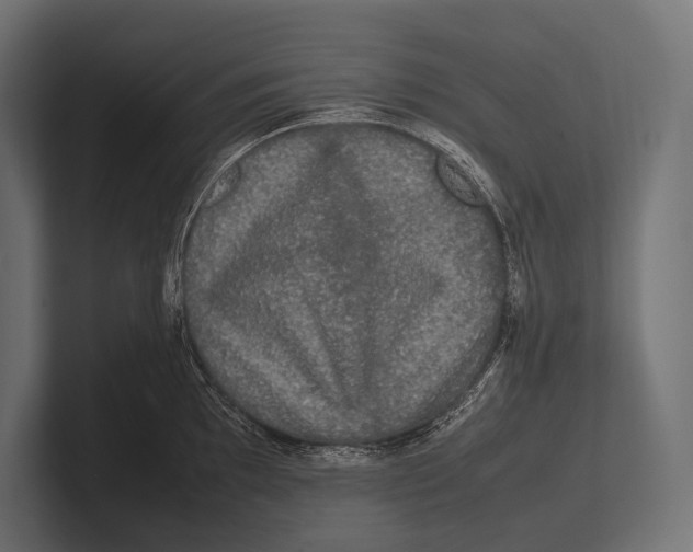 X0000100231097200806201438