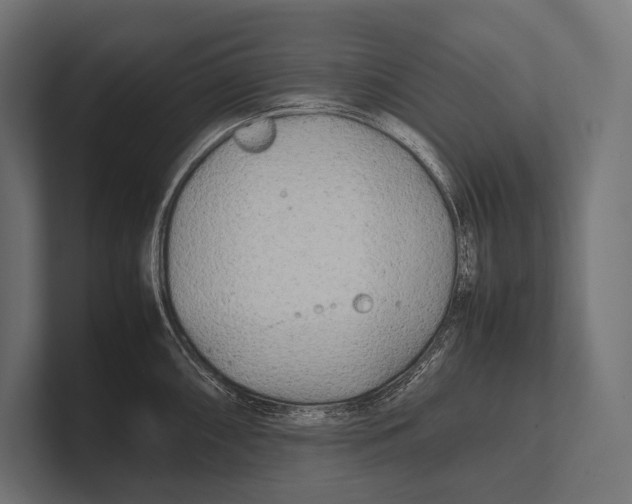 X0000100231098200806201438