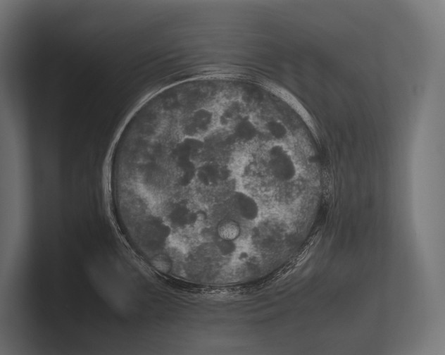 X0000100231099200806201438