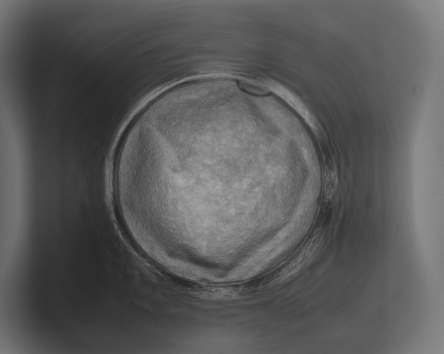 X0000100231101200806201438