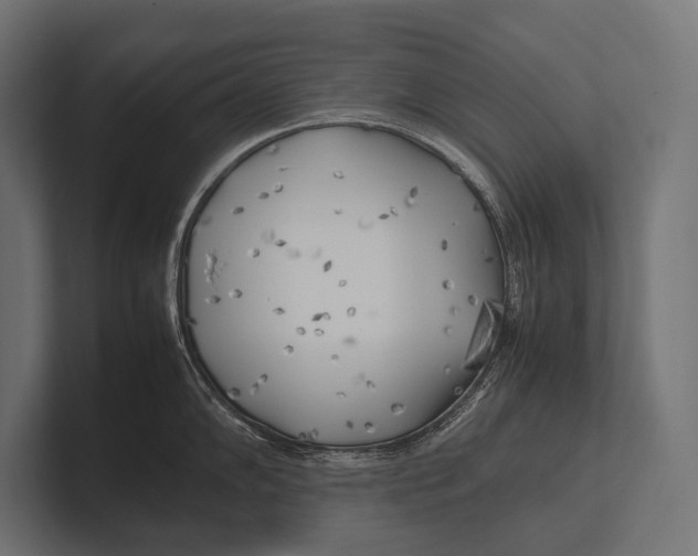 X0000100231102200806201438