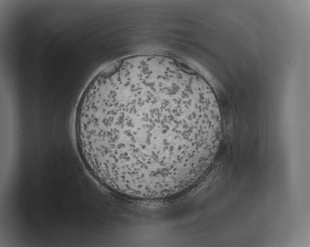 X0000100231103200806201438