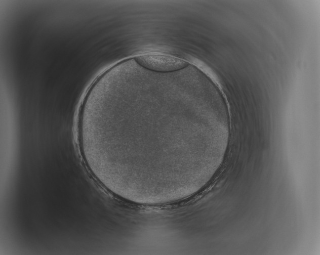 X0000100231104200806201438