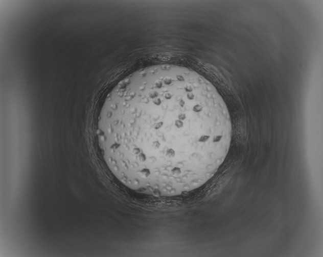 X0000100231105200806201438