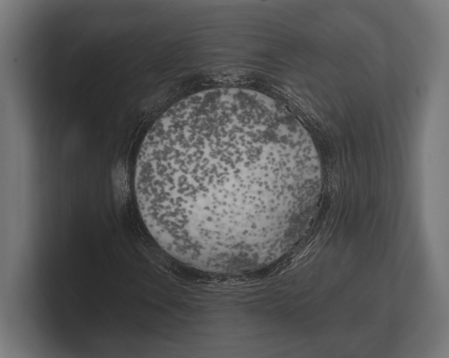 X0000100231106200806201438