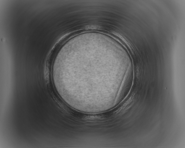 X0000100231115200806201438