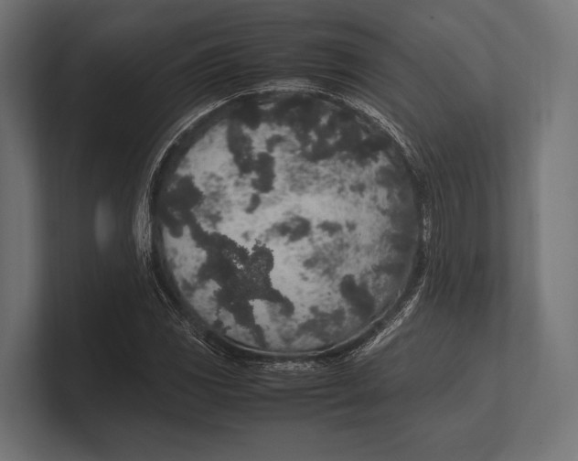 X0000100231117200806201438