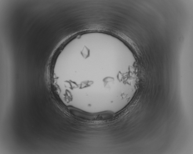 X0000100231120200806201438