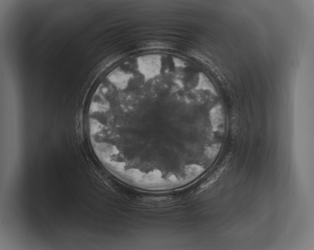 X0000100231121200806201438