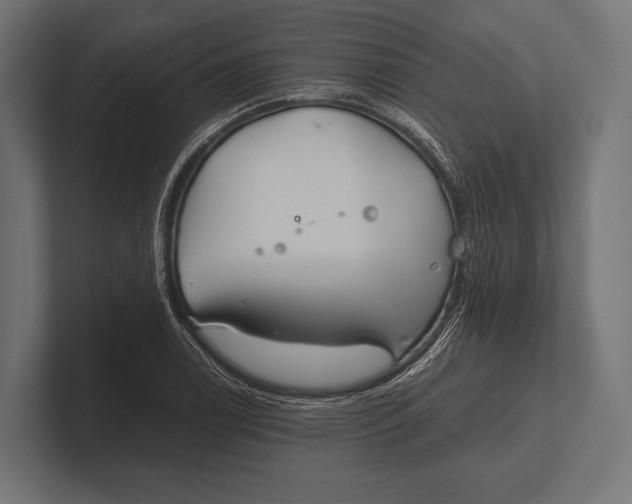 X0000100231122200806201438