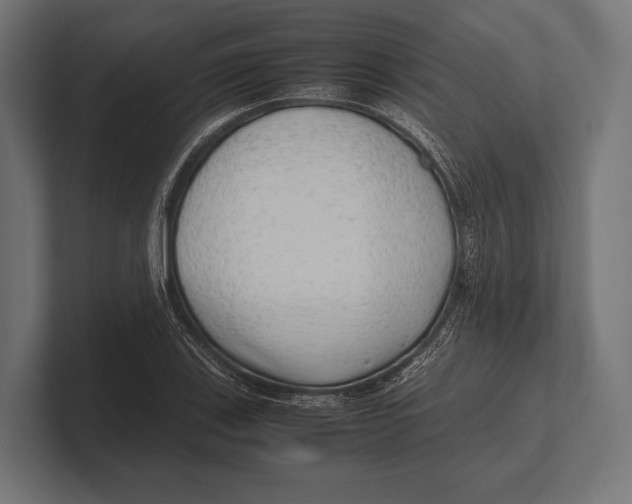 X0000100231123200806201438