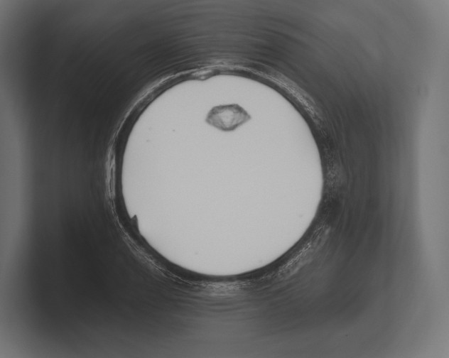 X0000100231126200806201438