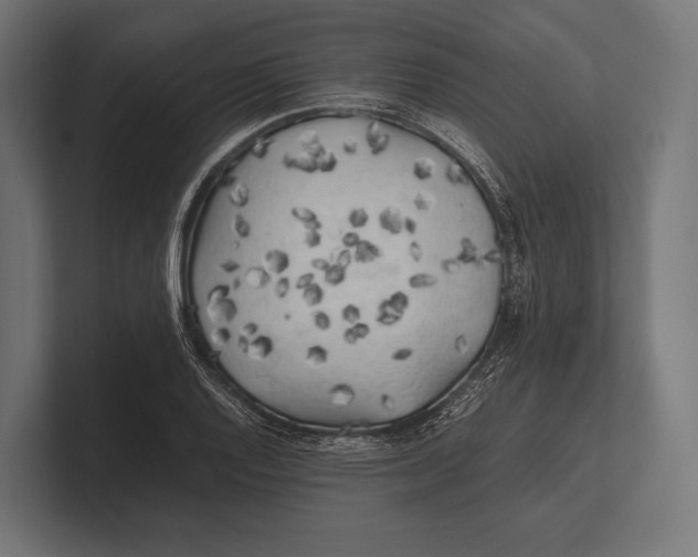 X0000100231128200806201438