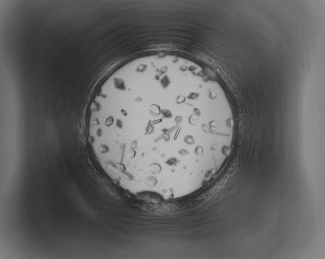 X0000100231129200806201438