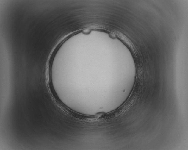 X0000100231132200806201438