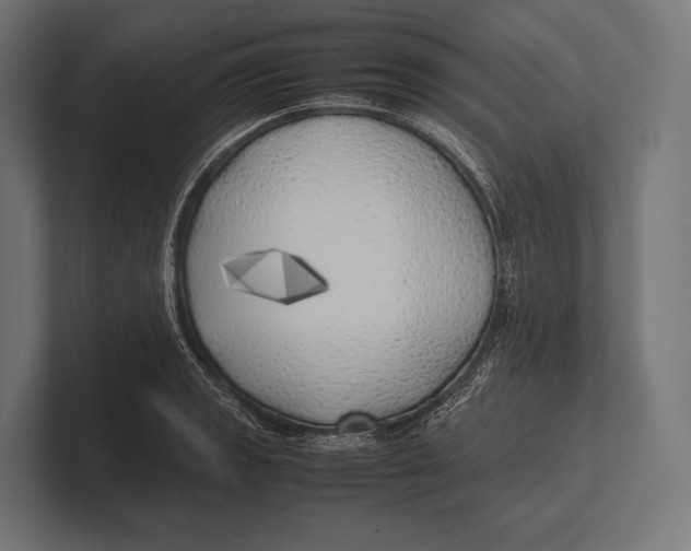 X0000100231133200806201438