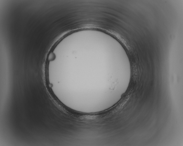 X0000100231134200806201438