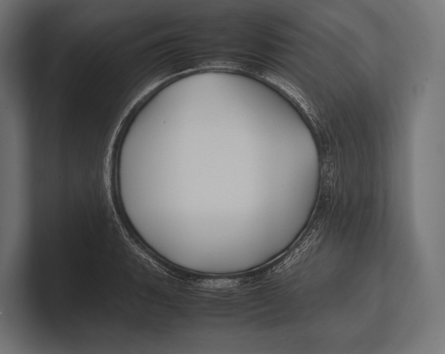 X0000100231135200806201438