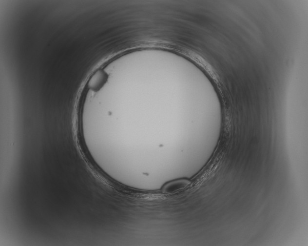 X0000100231136200806201438