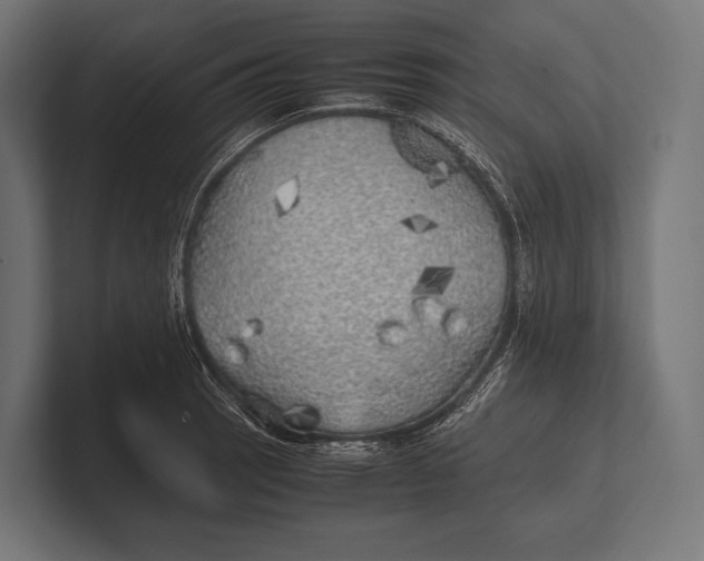 X0000100231137200806201438