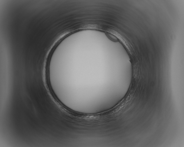 X0000100231139200806201438