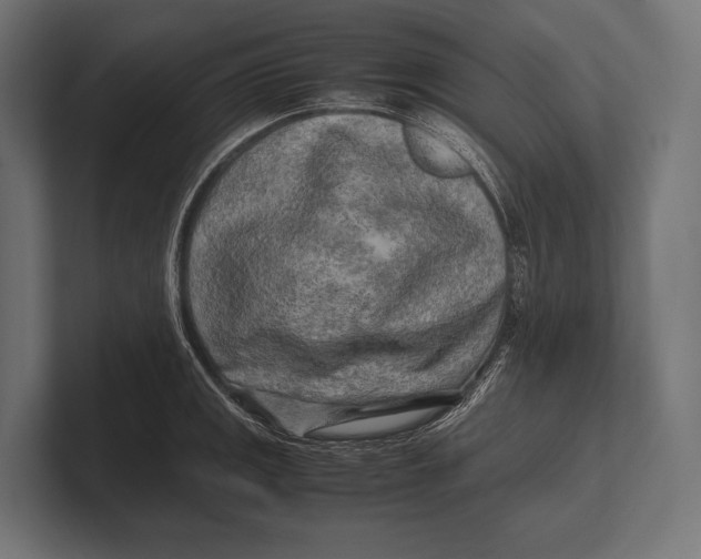 X0000100231141200806201438