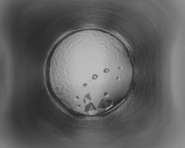 X0000100231142200806201438