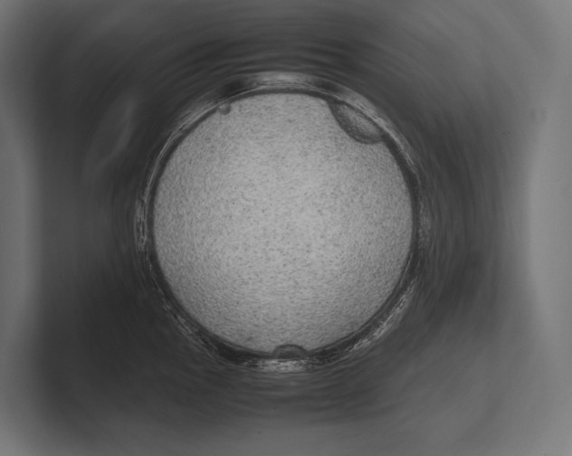 X0000100231145200806201438