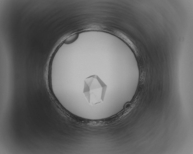 X0000100231146200806201438